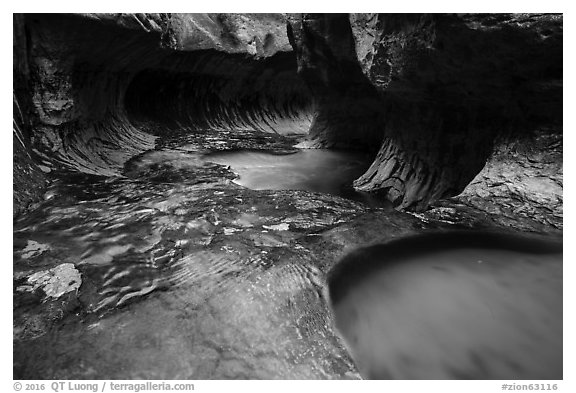 Downstream view of the Subway. Zion National Park (black and white)