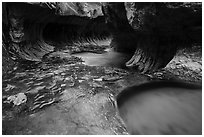 Downstream view of the Subway. Zion National Park ( black and white)