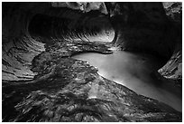 The Subway. Zion National Park ( black and white)