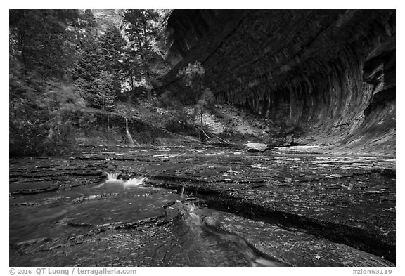 Red travertine terraces and alcove in the spring. Zion National Park (black and white)