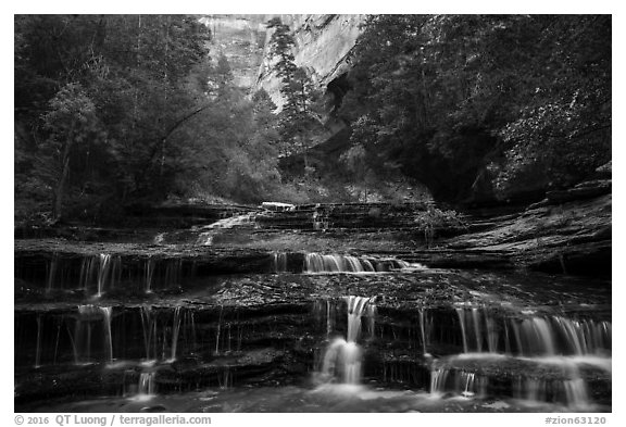 Archangel Falls in the spring. Zion National Park (black and white)