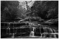 Archangel Falls in the spring. Zion National Park ( black and white)