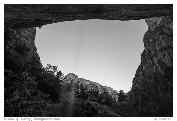 View from beneath alcove with water trickle, dusk. Zion National Park (black and white)