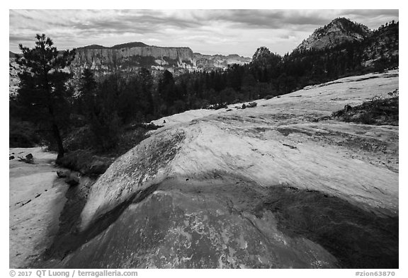 Stream flowing over slickrock, Russell Gulch. Zion National Park (black and white)
