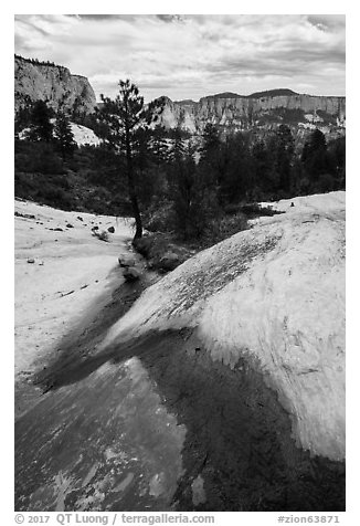 Russell Gulch stream. Zion National Park (black and white)