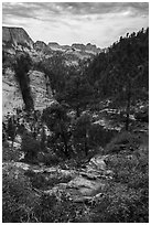 Russell Gulch. Zion National Park ( black and white)