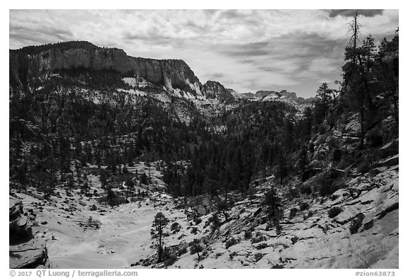 White Cliffs, Russell Gulch. Zion National Park (black and white)
