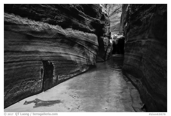 Narrow passageway, Upper Left Fork. Zion National Park (black and white)