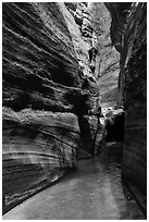 Narrow corridor, Upper Left Fork. Zion National Park ( black and white)
