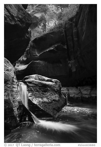 Double waterfall, Upper Subway. Zion National Park (black and white)