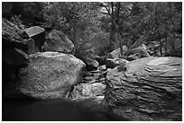 Left Fork flowing amongst boulders. Zion National Park ( black and white)