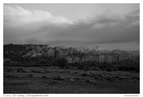 View from Kolob Terraces towards canyons at sunset. Zion National Park (black and white)