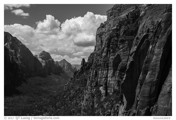 Zion Canyon from Angels Landing trail. Zion National Park (black and white)