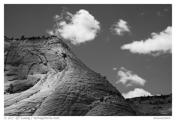 White cliffs, Zion Canyon rim. Zion National Park (black and white)