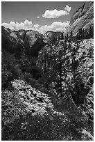Zion Canyon seen via Refrigerator Canyon. Zion National Park ( black and white)