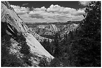 Lower Telephone Canyon. Zion National Park ( black and white)