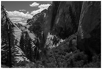 Head of Behunin Canyon. Zion National Park ( black and white)