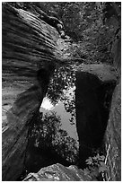 Pool, Upper Behunin Canyon. Zion National Park ( black and white)