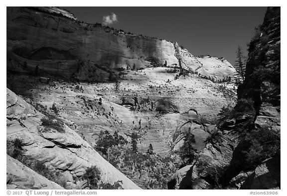 Walls of Mount Majestic from Behunin Canyon. Zion National Park (black and white)