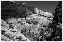 Walls of Mount Majestic from Behunin Canyon. Zion National Park ( black and white)