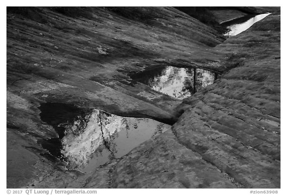 Pothole reflections, Behunin Canyon. Zion National Park (black and white)