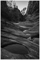 Water-filled potholes, Behunin Canyon. Zion National Park ( black and white)