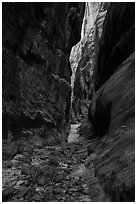 Narrows, Behunin Canyon. Zion National Park ( black and white)