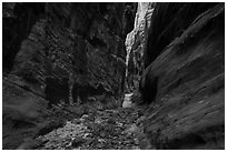 Narrow passage between tall walls, Behunin Canyon. Zion National Park ( black and white)