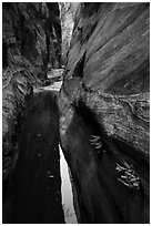 Ferns and pool in narrows, Behunin Canyon. Zion National Park ( black and white)