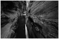Moist environment in narrows, Behunin Canyon. Zion National Park ( black and white)