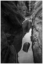 Lush pool in narrows, Behunin Canyon. Zion National Park ( black and white)