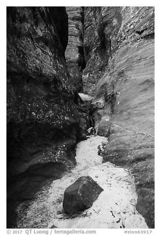 Sandy bottom of narrows, Behunin Canyon. Zion National Park (black and white)