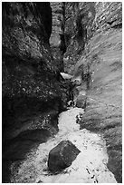 Sandy bottom of narrows, Behunin Canyon. Zion National Park ( black and white)
