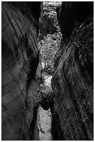 Chockstone wedged in narrows, Behunin Canyon. Zion National Park ( black and white)