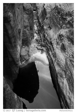 Pool from above, Behunin Canyon. Zion National Park (black and white)
