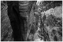 Narrows from above, Behunin Canyon. Zion National Park ( black and white)