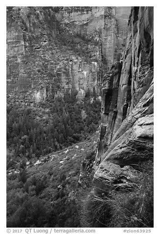 Cliff above Emerald Pools. Zion National Park (black and white)