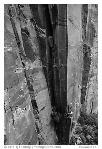 Sandstone cliffs. Zion National Park (black and white)
