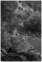 Lower Emerald Pool with drip from Middle Emerald Pool. Zion National Park ( black and white)