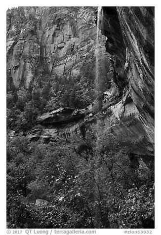 Waterfall above Lower Emerald Pool. Zion National Park (black and white)