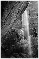 Waterfall on alcove above Lower Emerald Pool. Zion National Park ( black and white)