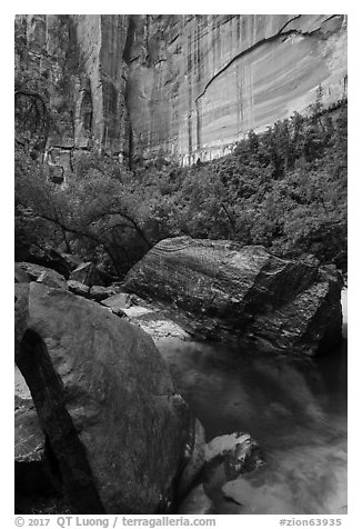 Boulders, Upper Emerald Pool. Zion National Park (black and white)