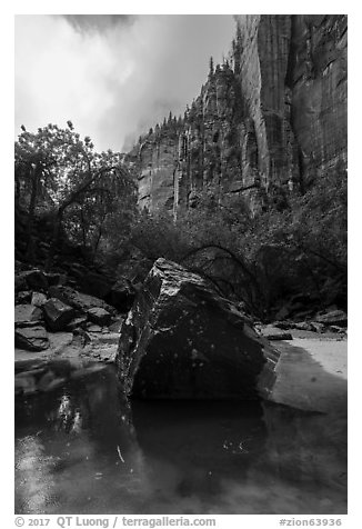 Boulder and cliffs, Upper Emerald Pool. Zion National Park (black and white)
