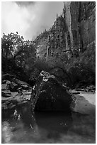 Boulder and cliffs, Upper Emerald Pool. Zion National Park ( black and white)