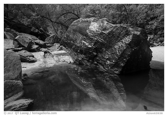 Dark boulder and reflection in Upper Emerald Pool. Zion National Park (black and white)