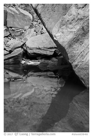Reflections, Upper Emerald Pool. Zion National Park (black and white)