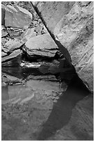 Reflections, Upper Emerald Pool. Zion National Park ( black and white)