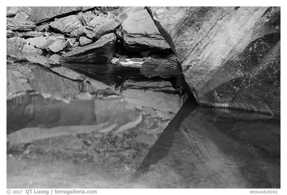 Rock reflections, Upper Emerald Pool. Zion National Park (black and white)