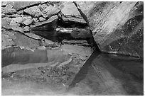 Rock reflections, Upper Emerald Pool. Zion National Park ( black and white)