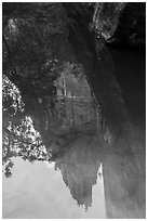 Cliff reflections, Upper Emerald Pool. Zion National Park ( black and white)